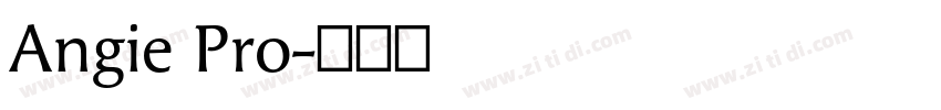 Angie Pro字体转换
